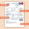 Austrian Power Grid AG business utility bill, Word and PDF template