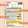 BSES Rajdhani Power Limited electricity business utility bill, Word and PDF template