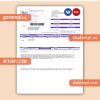 Belize Water Services Limited  business utility bill, PDF and WORD template