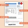 CLP Power Hong Kong Limited business utility bill, Word and PDF template