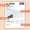 China Guodian Corporation electricity business utility bill, Word and PDF template, 2 pages