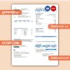 City of McKinney business utility bill, Word and PDF template
