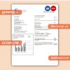 Connecticut Light & Power electricity business utility bill, PDF and WORD template