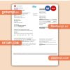 EDF France proof of address business utility bill, Word and PDF template