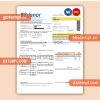 Edenor easy to fill utility business bill, Word and PDF template, 4 pages, version 3