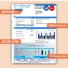 Endesa luz utility business bill, Word and PDF template