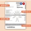 Enel electricity proof of address business utility bill, Word and PDF template