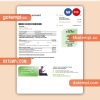 Energy Australia electricity business utility bill, Word and PDF template, 2 pages