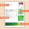Energy Australia gas business utility bill, Word and PDF template