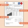 Hawaiian Electric business utility bill, Word and PDF template
