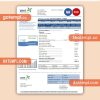 Just Energy business utility bill, Word and PDF template