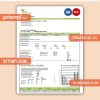 Maine Natural Gas Portland business utility bill, Word and PDF template