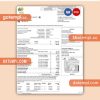 Massachusetts Chelsea SCG The United Illuminating Company business utility bill, Word and PDF template, 4 pages, version 3