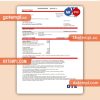 Michigan DTE Energy business utility bill, Word and PDF template