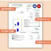 Momentum Energy  business utility bill, PDF and WORD template