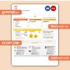 New South Wales (NSW) Origin electricity business utility bill,PDF and WORD template