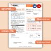 New York PSEG utility business bill, Word and PDF template