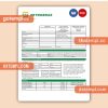 Petrobras Paraguay Operations and Logistics gas utility business bill, Word and PDF template, 4 pages, version 3