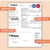 South Carolina SCE&G electricity business utility bill, Word and PDF template, 2 pages