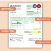 Southeastern Electric Cooperative, Inc. business utility bill, Word and PDF template, 2 pages