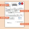 Texas El Paso Water business utility bill, PDF and WORD template