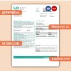 Utility Point business utility bill, Word and PDF template