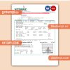 Vitogaz Switzerland AG utility business bill, Word and PDF template, 4 pages, version 3