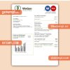 WeGen Energy Philippines business utility bill, Word and PDF template