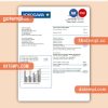 Yokogawa Electric Kazakhstan Ltd. business utility bill, Word and PDF template