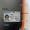 Cyprus ID card editable PSD files, scan and photo taken image, 2 in 1