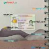 Hong Kong permanent ID card editable PSD files, scan look and photo-realistic look, 2 in 1 (2003-2018)