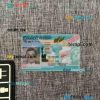 USA new green card editable PSDs, scan and photo-realistic snapshot, 2 in 1 (permanent resident 2023)