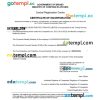 Brunei business registration certificate Word and PDF template