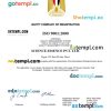 Egypt business registration certificate Word and PDF template