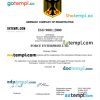 Germany business registration certificate Word and PDF template