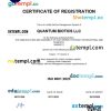 Ireland business registration certificate Word and PDF template