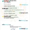 Niger business registration certificate Word and PDF template