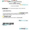 Spain business registration certificate Word and PDF template