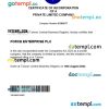 Taiwan business registration certificate Word and PDF template