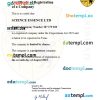 Tunisia business registration certificate Word and PDF template