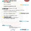UAE business registration certificate Word and PDF template