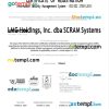 USA LMG certificate of registration Word and PDF template