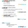 USA business registration certificate Word and PDF template
