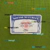 USA SSN photolook green background PSD files, editable photo-realistic look sample, 2 in 1