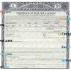 Virginia certificate of title of a vehicle (car title) template in PSD format, fully editable, front and back