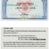 USA SSN (social security card, number) examples in PSD format
