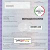 Illinois certificate of title of a vehicle (car title) template in PSD format, fully editable, front and back