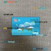 Central African republic ecobank visa debit card PSD scan and photo-realistic snapshot, 2 in 1