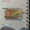 Japan D point club visa card PSD scan and photo-realistic snapshot, 2 in 1