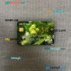 Romania CEC Bank visa classic card PSD scan and photo-realistic snapshot, 2 in 1